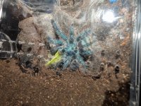 PXL_20251203_152744412.jpg PXL_20251203_152744412.jpg