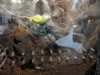 PXL_20251203_151901344.jpg PXL_20251203_151901344.jpg