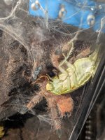 PXL_20251203_153600436.jpg PXL_20251203_153600436.jpg