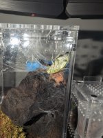 PXL_20251203_152615945.jpg PXL_20251203_152615945.jpg