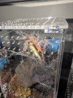 PXL_20251203_161719016.jpg PXL_20251203_161719016.jpg