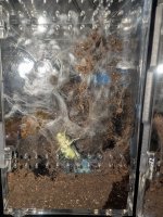 PXL_20251203_152543300.jpg PXL_20251203_152543300.jpg