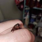 1768843480711.png 1768843480711.png