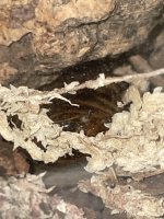 IMG_5430.jpeg IMG_5430.jpeg