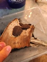 1000009296.jpg 1000009296.jpg