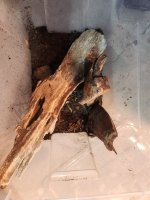 1000009295.jpg 1000009295.jpg