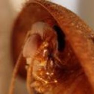 BugmanPrice