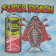 bigtoach