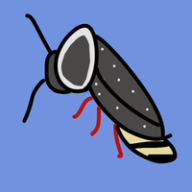 Auz