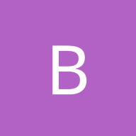 Blatta