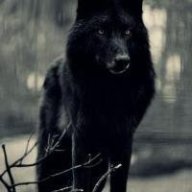 The Wolven