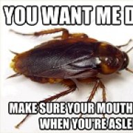 Critter
