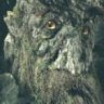 Treebeard