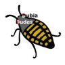 dubiadudes