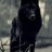 The Wolven