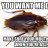 Critter