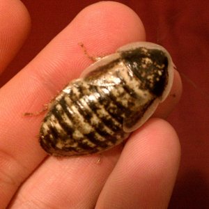 IMAG0231.jpg