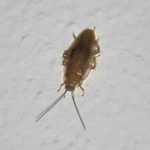 sp 00301.jpg