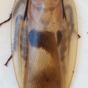 20140903_112146.jpg