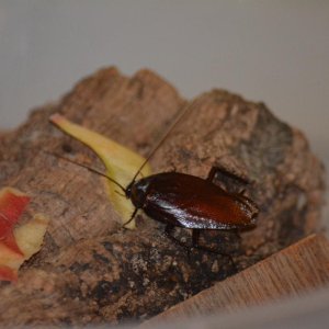 IMG_3130.JPG