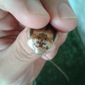 20160611_160344.jpg