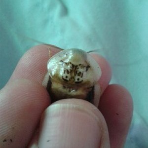 20160611_160534.jpg