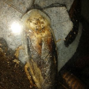 20160611_213357.jpg