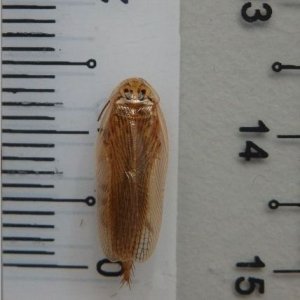 SI_20170426_091647.jpg