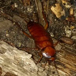 IMG_20170529_000459.jpg