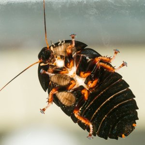 IMG_5667small.jpg