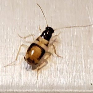 20190819_092147.jpg