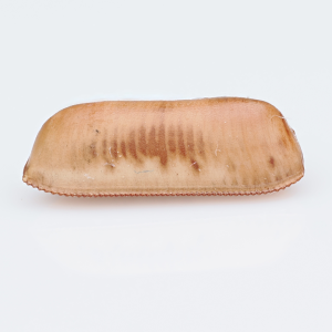 ooth.png