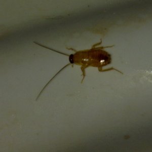 17061989048.jpg