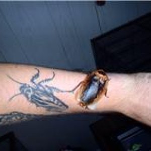 peppered tatt.jpg