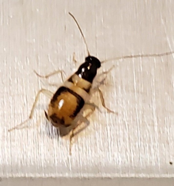 20190819_092147.jpg