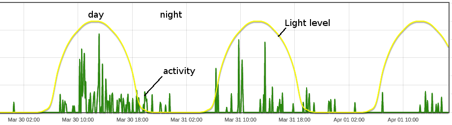 corydidarum_activity.png