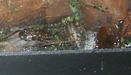 DSCN0141.JPG