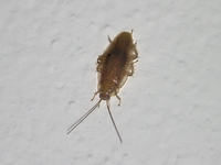 sp 00301.jpg