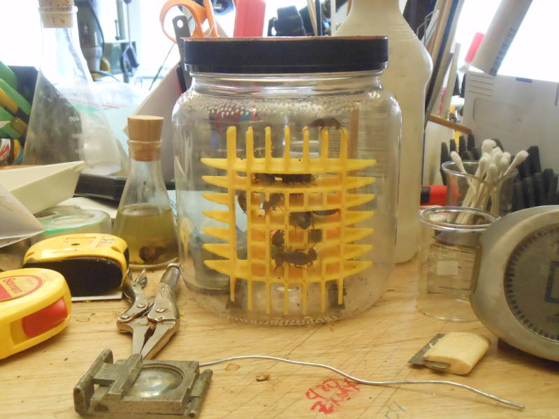 tabletop1.JPG
